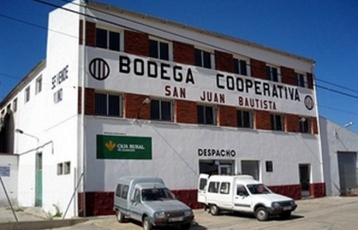 cooperativa